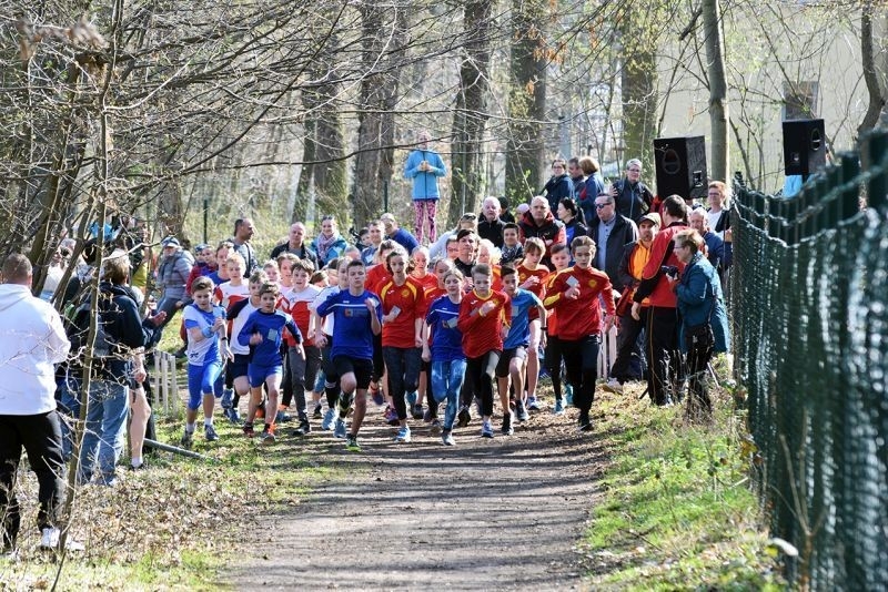 Frühjahrscrosslauf im Steigerwald, Foto: Veranstalter Frühjahrscrosslauf im Steigerwald, Foto: Veranstalter