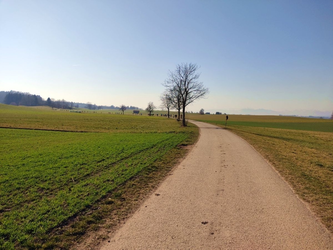 Gögerltrail, Foto: Veranstalter Gögerltrail, Foto: Veranstalter