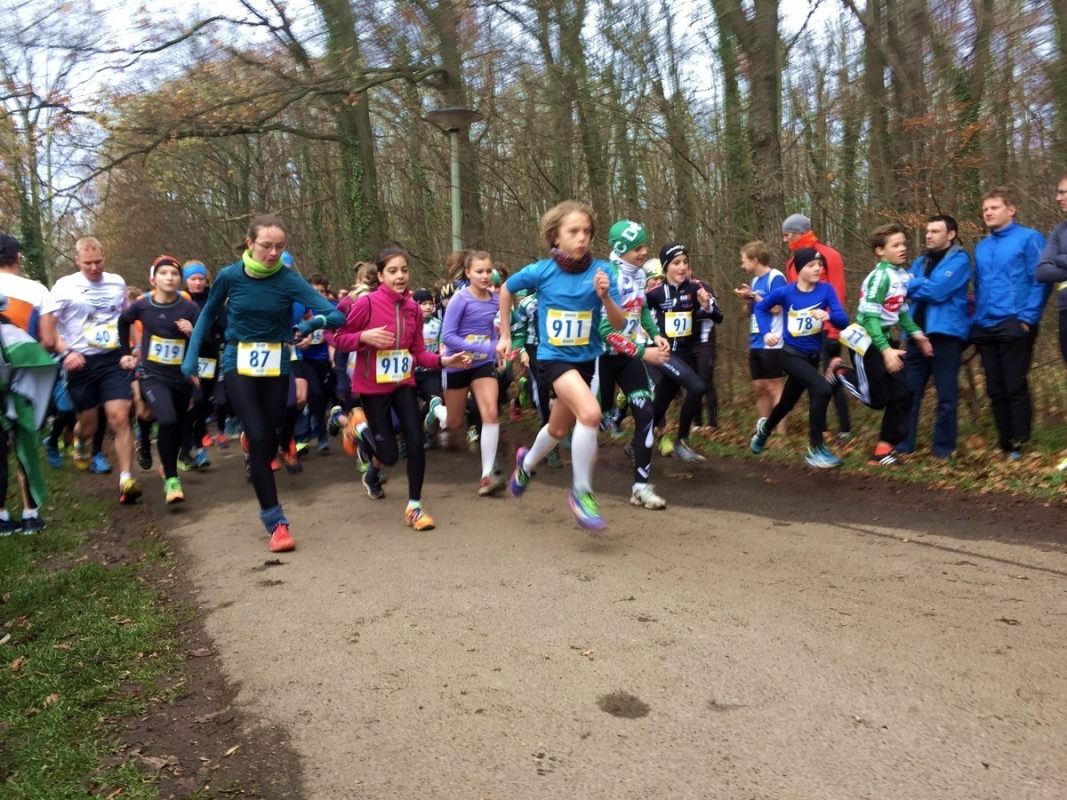 Auewald-Mannschaftslauf Leipzig, Foto: Veranstalter Auewald-Mannschaftslauf Leipzig, Foto: Veranstalter