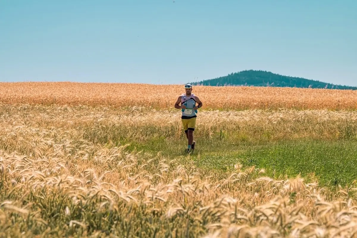Sauwald TRAIL 2025 (Foto: © Veranstalter) Sauwald TRAIL 2025 (Foto: © Veranstalter)
