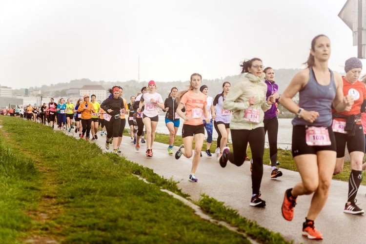 Ladies Run Linz, Foto Veranstaer / Hikimus