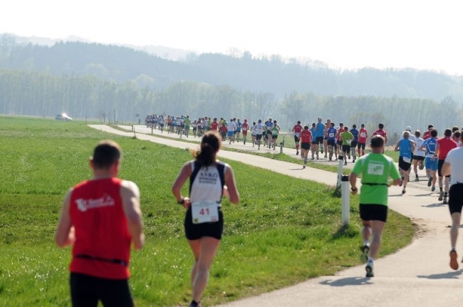 Donau-Au Halbmarathon
