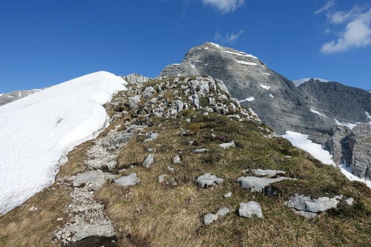 Warscheneck via Südost-Grat 24: Ein Angenehmes Wanderstück, bevor es zur Kletterpassage Richtung Gipfel geht