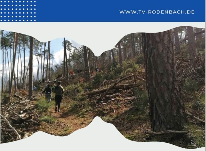 Rodenbacher Trail-Run &amp; Waldlauf, Foto: TV Rodenbach