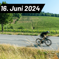 Triathlon Heilbronn 2024