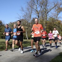 Ein großer Teil der Marathon-Strecke verlief durch den Münchner Englischen Garten (c) Norbert Wilhelmi, München-Marathon