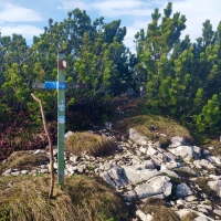 Weißlehnkopf 03: Gipfelkreuz