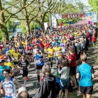 Ergebnisse Heilbronner Trollinger Marathon 2022