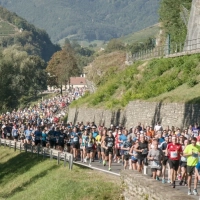 Ergebnisse Wachau Marathon 2025