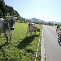 Ironman 70.3 Switzerland