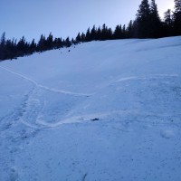 Ötscher via Rauher Kamm 19: Der letzte Waldabschnitt geht nun über ein Schneefeld (im Sommer natürlich deutlich angenehmer).