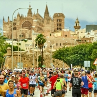 Ergebnisse Mallorca Marathon 2024