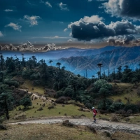 Himalayan 100 Miles Stage Race 2025: Mystische Trails