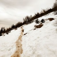 Waxriegel 19: Im März noch einiges an Schnee