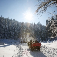 Eine Kutschfahrt durch das tiefverschneite Tonbachtal.Foto (C) Baiersbronn