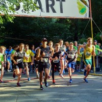 Lauftermine in Essen