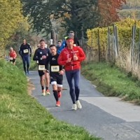 WWW-Lauf Inzersdorf