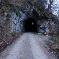 Zuerst werden am Forstweg zwei Tunnel passiert.