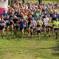 Ergebnisse Kyffhäuser Berglauf