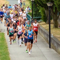 Wilhelmsburger Stadtlauf