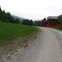 Warscheneck via Südost-Grat 3: Die Route führt entweder über den Forstweg oder die Skipiste bergauf
