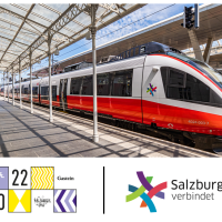 adidas Infinite Trails 