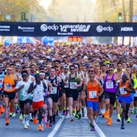 Medio Marathon de Sevilla 2023