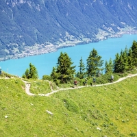 Ergebnisse Eiger Ultra Trail