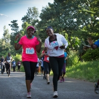 Kilimanjaro Marathon (C) Organizer