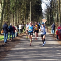 Bienwald-Marathon Kandel (C) Veranstalter
