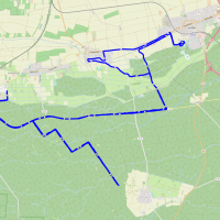 Bienwald-Marathon Kandel Strecke