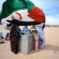 Sahara Marathon, Foto: Rainer Predl
