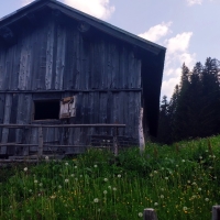 Bärenkopf 03: Auf 1.500 Metern Höhe bei einer alten Hütte.