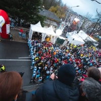 Genève Calendrier des courses