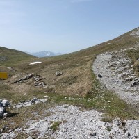Admonter Kalbling - Sparafeld - Riffel - Kreuzkogel Rundtour: Rechts der Weg zum Gipfel des Kalbling, links die Route zum Sparafeld