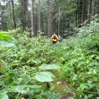 German Trailrunning Cup