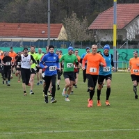 Laufcups und Laufserien in Österreich