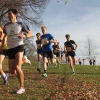 Crossläufe in Bayern - Termine