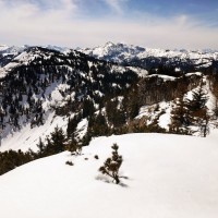 Dürrenstein Rundtour 24: Nun geht es tief durch den Schnee lange Richtung Leonhardikreuz
