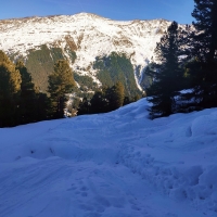 Lampsenspitze Skitour 02: Aufgrund der katastrophalen Schneebedingungen ist der Weg über den Wald bereits stark vereist.