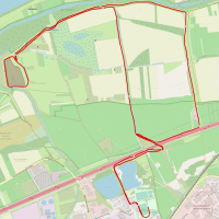 Ingelheimer Polderlauf Strecke 10 km