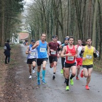 Bienwald-Marathon Kandel 2019, Foto Veranstalter