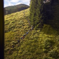 Saalbacher Trail &amp; Skyrace 2022, Foto: © saalbach.com, Daniel Roos