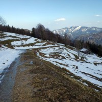 Hochstaff-Reisalpe Rundtour 58: Abstiegsweg