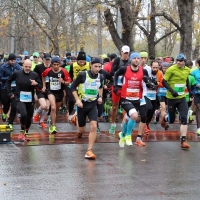 Fotos vom Leopoldilauf des LCC Wien 2017 online