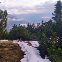 Arnplattenspitze 20: Abstieg nun auf einen markierten und steilen Trail zum Hohen Sattel.