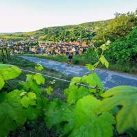 Trail Alsace Grand Est