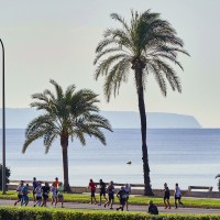 Marathon Palma De Mallorca 85 1665495979