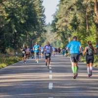 Ergebnisse Bienwald-Marathon 2023