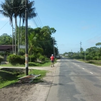 Paramaribo Marathon: Anstieg